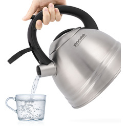 Чайник Rondell Zart RDS-1605