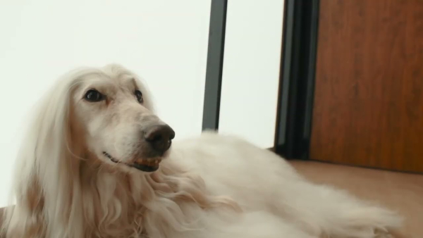 Вертикальный моющий пылесос Tineco Floor One S9 Artist Pro