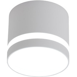 Точечный светильник TruEnergy 21015