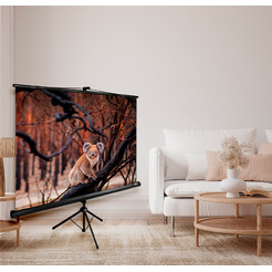 Экран CACTUS TriExpert 160x160 CS-PSTE-160x160-BK