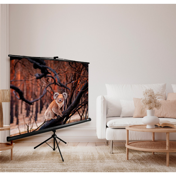 Экран CACTUS TriExpert 160x160 CS-PSTE-160x160-BK