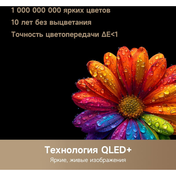 Телевизор Dreame Vivid 75Q100