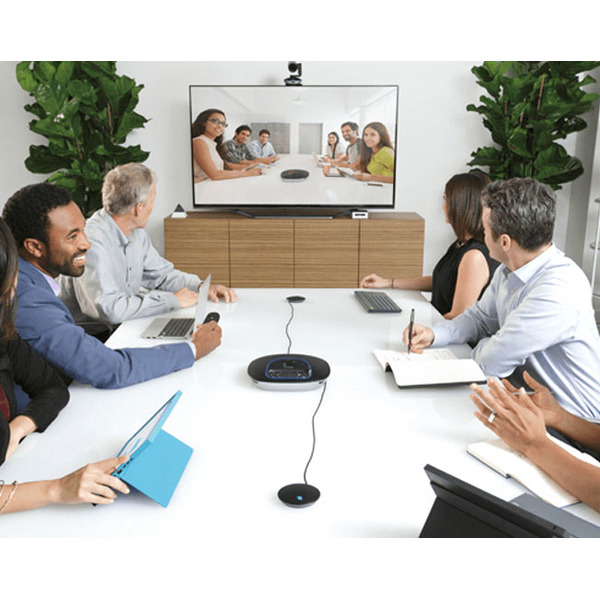 Микрофон Logitech Group Expansion Microphones (989-000171)