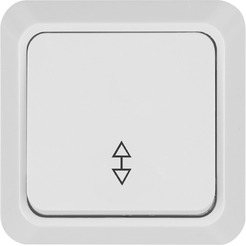 Переключатель TDM Electric Ладога SQ1801-0005