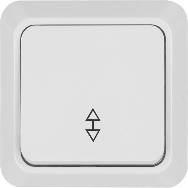 Переключатель TDM Electric Ладога SQ1801-0005