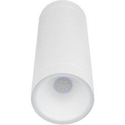 Светильник TDM Electric Тубо SQ0345-1088