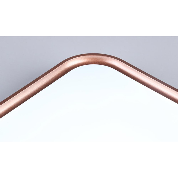 Потолочный светодиодный светильник Ambrella Light FZ1265 BK/PGD