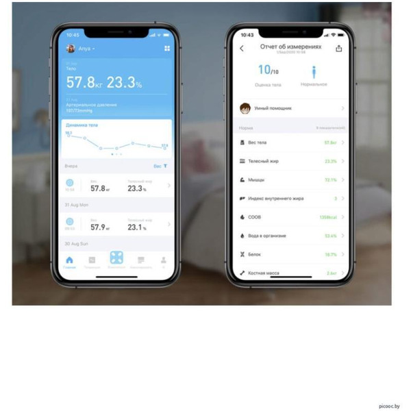 Напольные весы Picooc S3 Lite V2