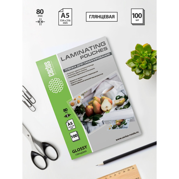 Пленка для ламинирования Cactus CS-LPGA580100