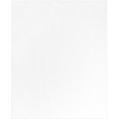 Холст для рисования BRAUBERG Art Debut 191025