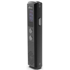Диктофон цифровой Ritmix RR-120 8GB (черный)
