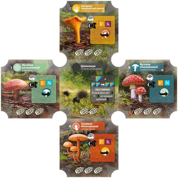 Настольная игра Hobby World Грибы и корни 952039