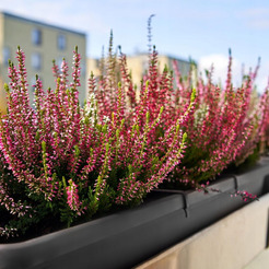 Кашпо Formplastic 5185-014 (матовый антрацит)