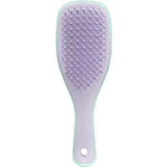 Расческа Tangle Teezer The Wet Detangler Mini Wisteria Leaf (2241)