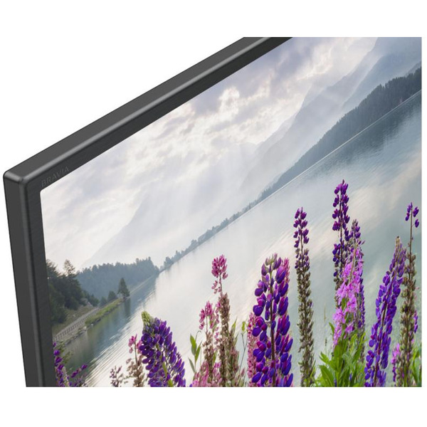 Телевизор SONY KDL-43WF804