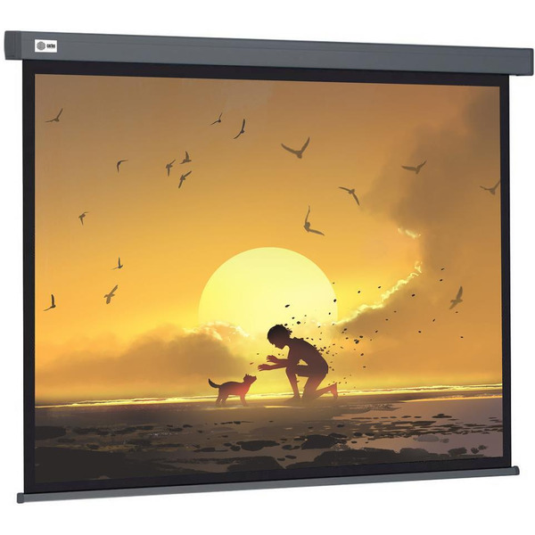 Проекционный экран CACTUS Wallscreen CS-PSW-124X221-SG