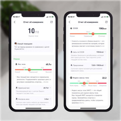 Напольные весы Picooc Basic