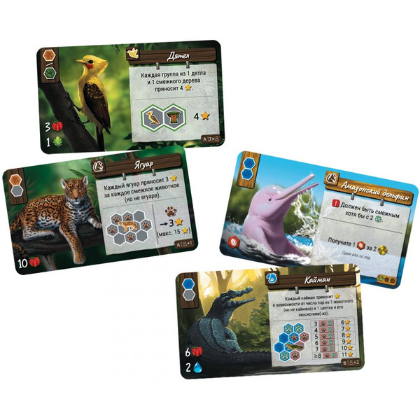 Настольная игра Hobby World Дикая природа Амазонии 915950