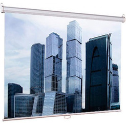 Экран Lumien LEP-100105