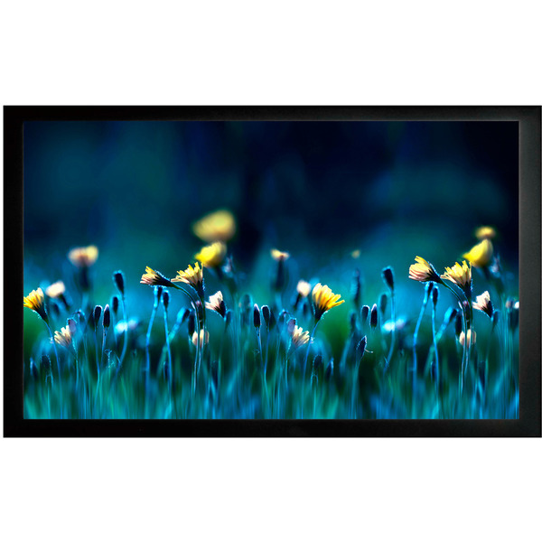 Проекционный экран CACTUS FrameExpert 113x200 CS-PSFRE-200X113