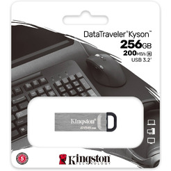 USB Flash Kingston DataTraveler Kyson 256GB (DTKN/256GB)