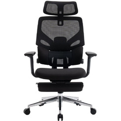 Кресло компьютерное EVOLUTION LumbarPro FR AL