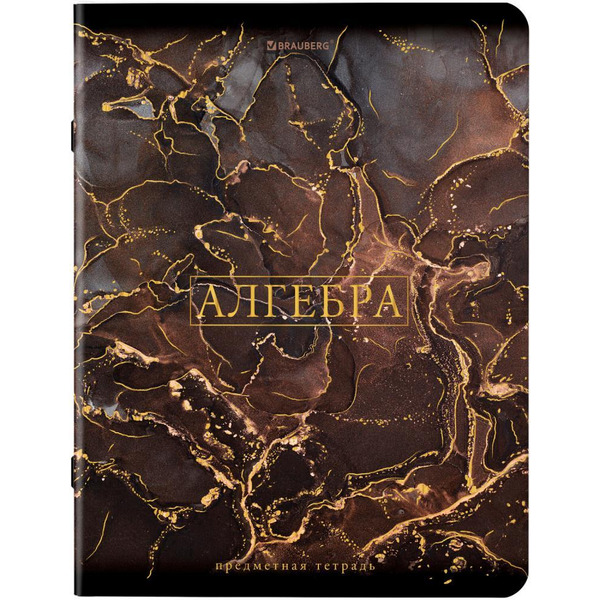 Тетради предметные BRAUBERG 404326 (КОМПЛЕКТ 12 ПРЕДМЕТОВ, 48л, SoftTouch, фольга)