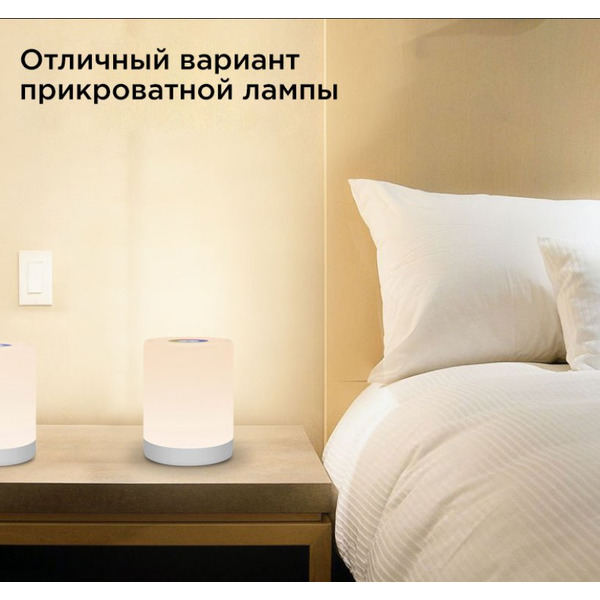 Ночник Evolution 1001