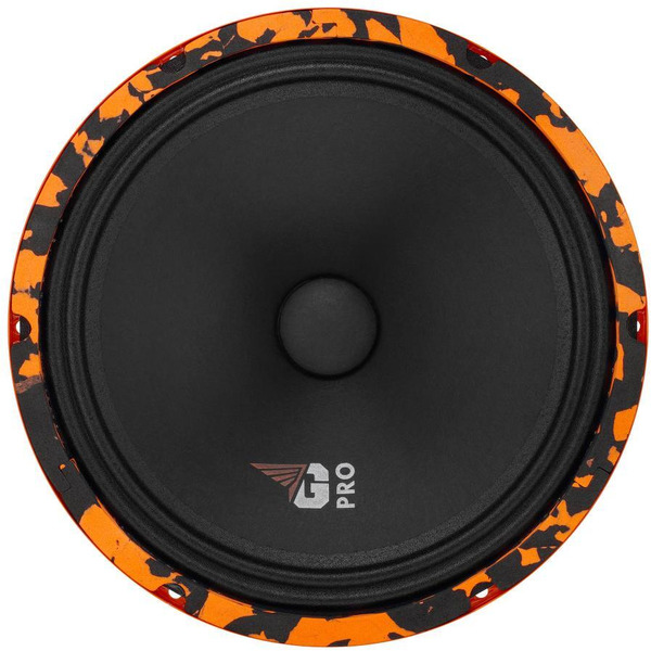 Автоакустика DL Audio Gryphon Pro 250