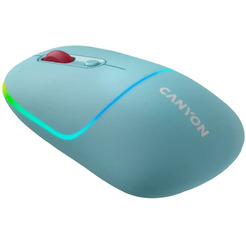 Мышь Canyon MW-22 (CNS-CMSW22DC) бирюзовый