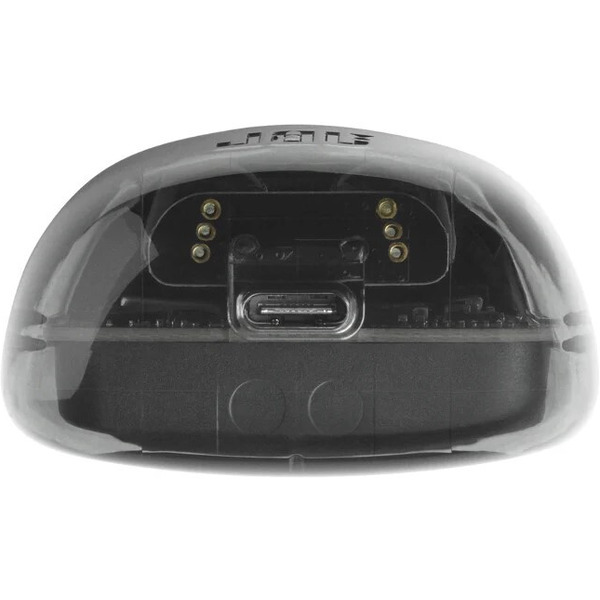 Наушники JBL Tune 225 TWS Ghost (черный)