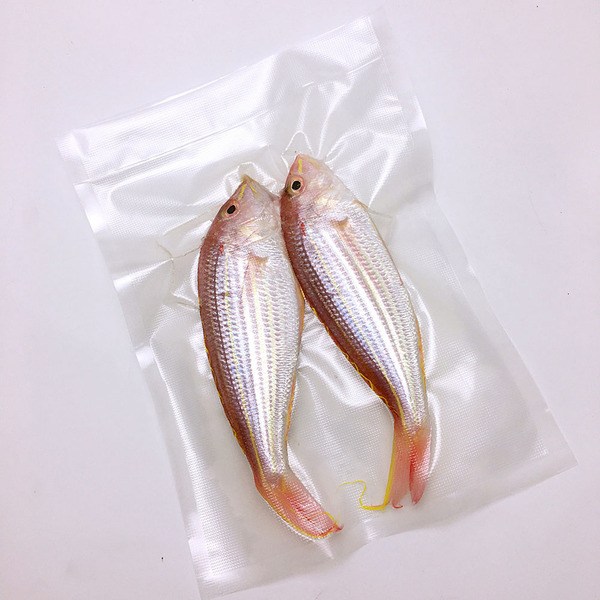 Вакуумный упаковщик CASO GourmetVAC 180