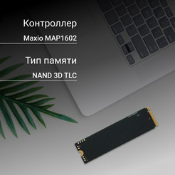 Накопитель SSD Digma DGSM4512GM63T