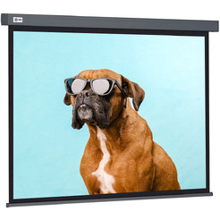 Проекционный экран CACTUS Wallscreen 149x265 CS-PSW-149X265-SG