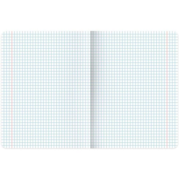 Тетради предметные BRAUBERG 404326 (КОМПЛЕКТ 12 ПРЕДМЕТОВ, 48л, SoftTouch, фольга)