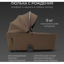 Коляска детская Bubago Gaudi 2в1 BG 218-2 (медовый коричневый)