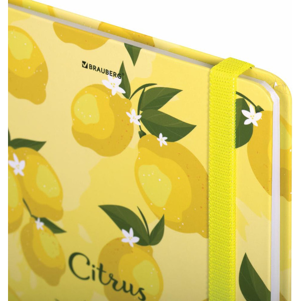 Блокнот BRAUBERG 113727