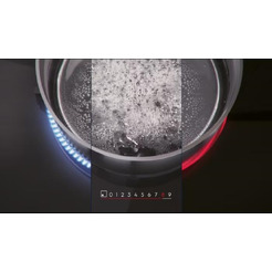 Варочная панель Electrolux EIP6446