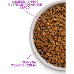 Сухой корм для кошек MyBestie Хоум Киттен / 4513-15-MBH-CAT (1.5кг)
