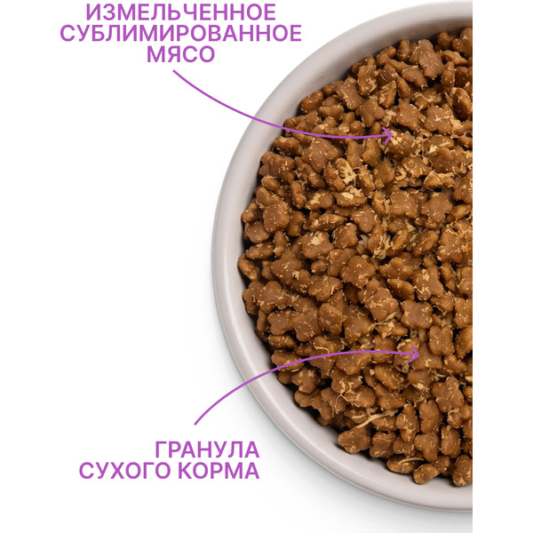 Сухой корм для кошек MyBestie Хоум Киттен / 4513-15-MBH-CAT (1.5кг)