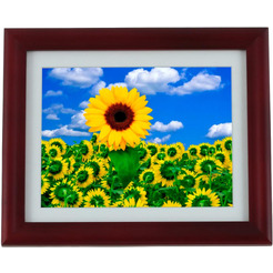 Фоторамка TEXET TF-106 Red