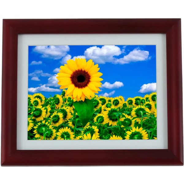 Фоторамка TEXET TF-106 Red