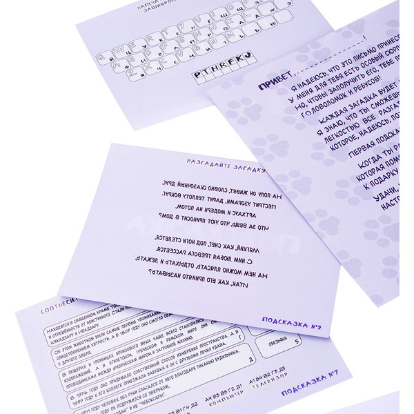 Игра-квест по поиску подарка DREAM MAKERS Моей половинке 2418C