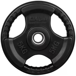 Диск Alpin DR-5
