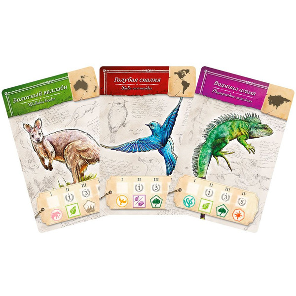 Настольная игра Hobby World 915545 Энциклопедия