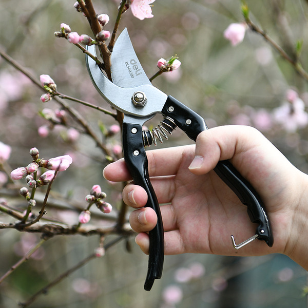 Секатор Deli EDL580200