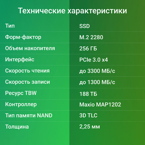 SSD Digma Mega M2 256GB DGSM3256GM23T