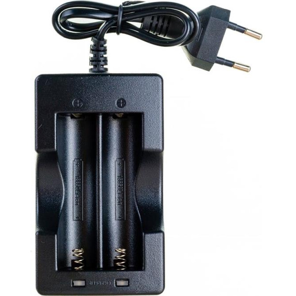 Зарядное устройство Rexant PROconnect для 2-х Li-ion 18650 18-2237