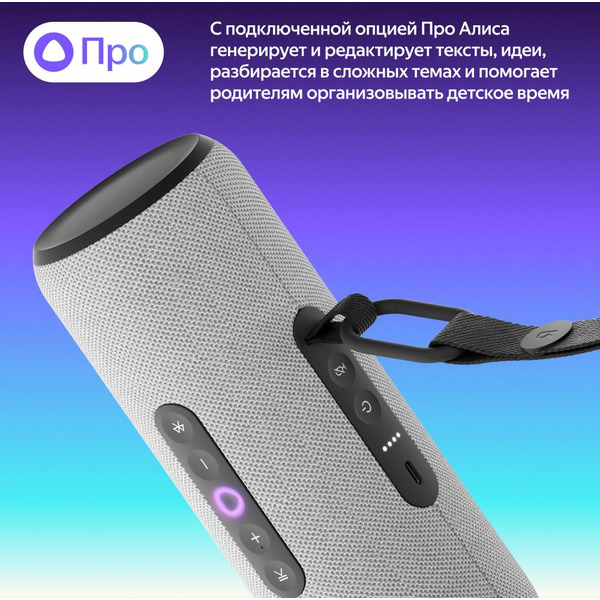 Портативная Умная колонка Яндекс.Станция Стрит YNDX-00030GRY (серый)