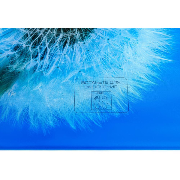 Напольные весы CENTEK CT-2421 Spring Flower